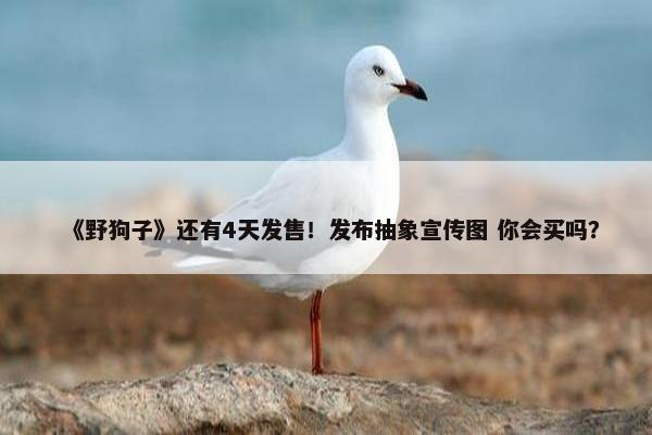 《野狗子》还有4天发售！发布抽象宣传图 你会买吗？