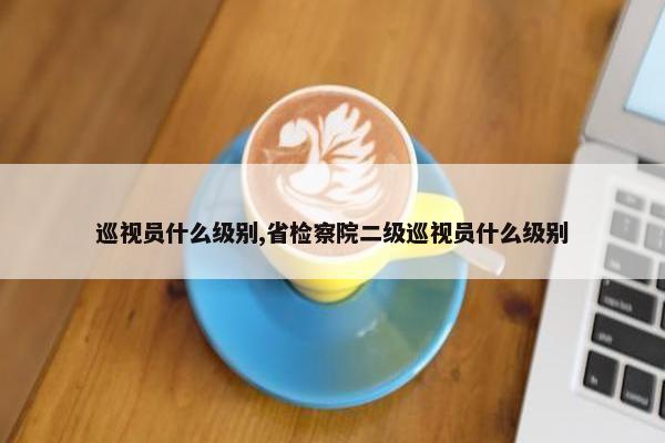 巡视员什么级别,省检察院二级巡视员什么级别