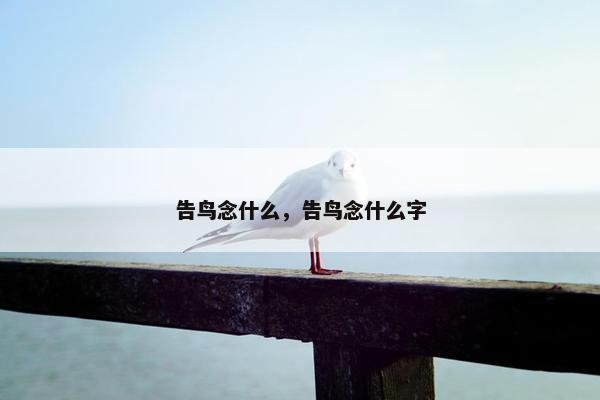 告鸟念什么，告鸟念什么字