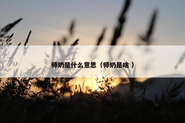 师奶是什么意思（师奶是啥 ）