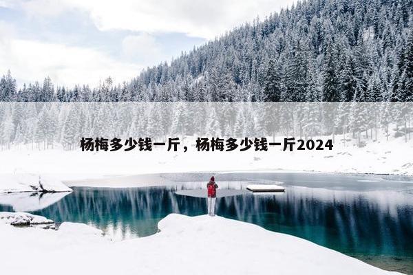 杨梅多少钱一斤，杨梅多少钱一斤2024