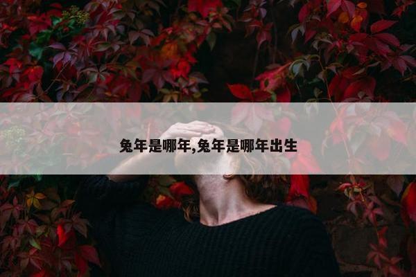 兔年是哪年,兔年是哪年出生