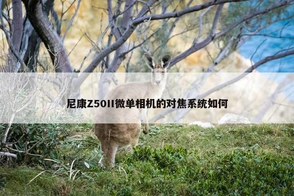 尼康Z50II微单相机的对焦系统如何