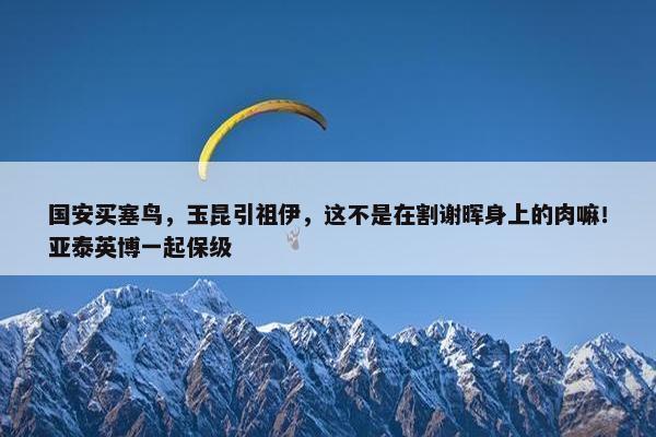 国安买塞鸟，玉昆引祖伊，这不是在割谢晖身上的肉嘛！亚泰英博一起保级