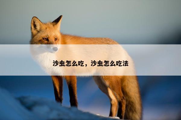 沙虫怎么吃，沙虫怎么吃法