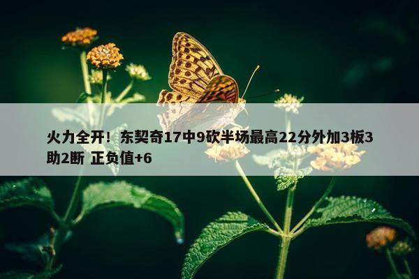 火力全开！东契奇17中9砍半场最高22分外加3板3助2断 正负值+6