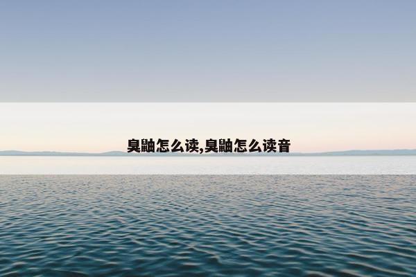 臭鼬怎么读,臭鼬怎么读音