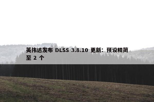 英伟达发布 DLSS 3.8.10 更新：预设精简至 2 个