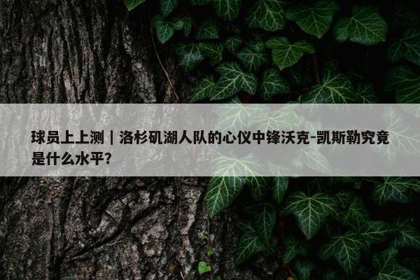 球员上上测｜洛杉矶湖人队的心仪中锋沃克-凯斯勒究竟是什么水平？