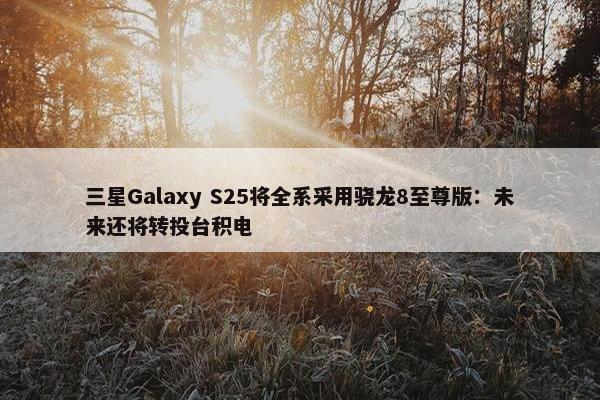 三星Galaxy S25将全系采用骁龙8至尊版：未来还将转投台积电