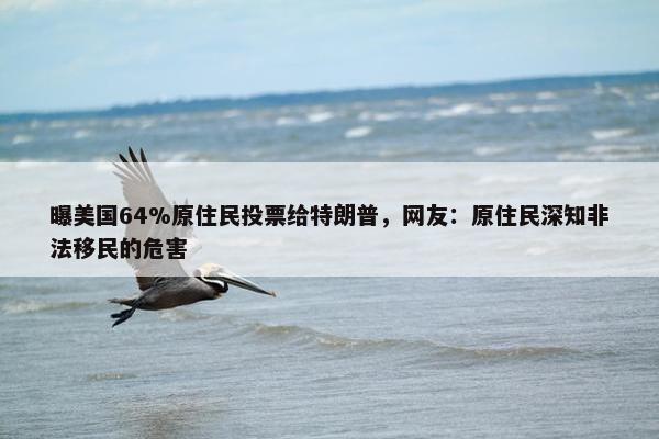 曝美国64%原住民投票给特朗普，网友：原住民深知非法移民的危害