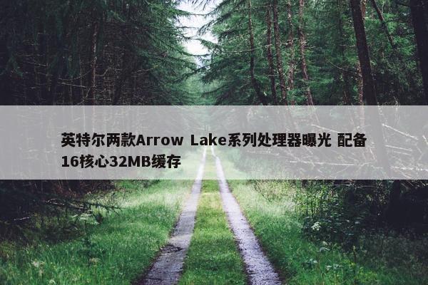 英特尔两款Arrow Lake系列处理器曝光 配备16核心32MB缓存