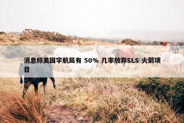 消息称美国宇航局有 50% 几率放弃SLS 火箭项目