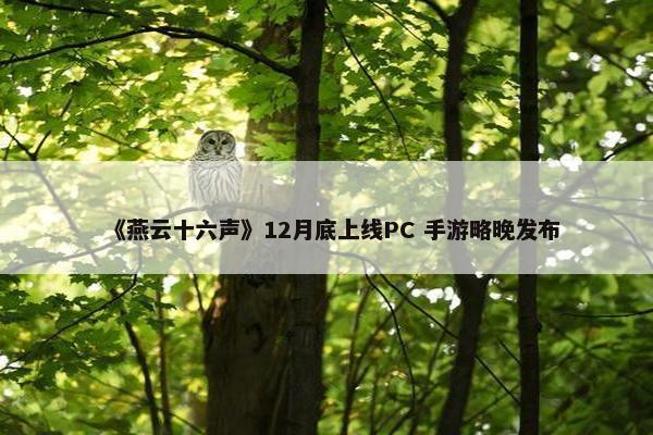 《燕云十六声》12月底上线PC 手游略晚发布