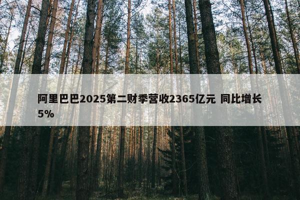 阿里巴巴2025第二财季营收2365亿元 同比增长5%