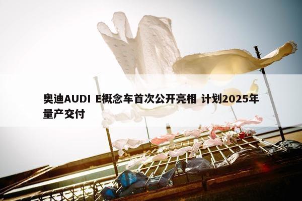 奥迪AUDI E概念车首次公开亮相 计划2025年量产交付