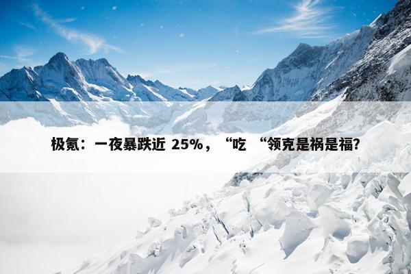 极氪：一夜暴跌近 25%，“吃 “领克是祸是福？