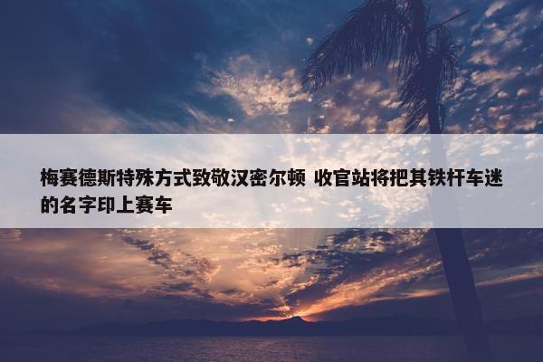 梅赛德斯特殊方式致敬汉密尔顿 收官站将把其铁杆车迷的名字印上赛车