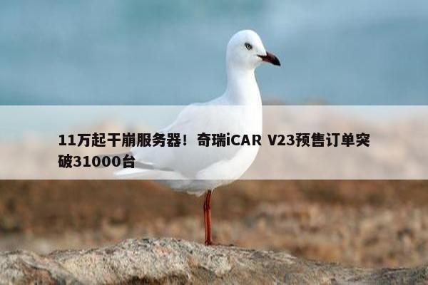 11万起干崩服务器！奇瑞iCAR V23预售订单突破31000台