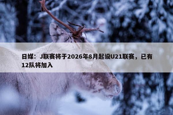 日媒：J联赛将于2026年8月起设U21联赛，已有12队将加入