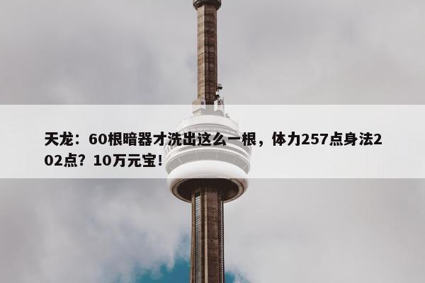 天龙：60根暗器才洗出这么一根，体力257点身法202点？10万元宝！