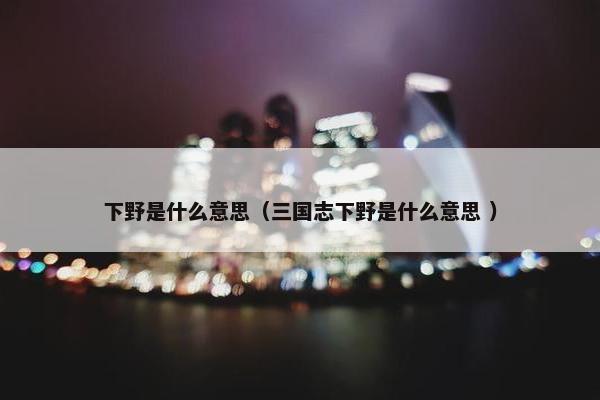 下野是什么意思（三国志下野是什么意思 ）