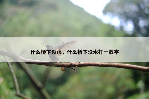 什么桥下没水，什么桥下没水打一数字