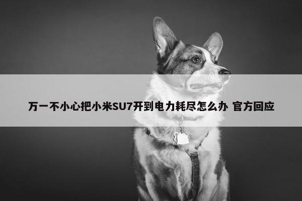 万一不小心把小米SU7开到电力耗尽怎么办 官方回应