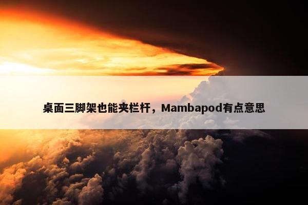 桌面三脚架也能夹栏杆，Mambapod有点意思