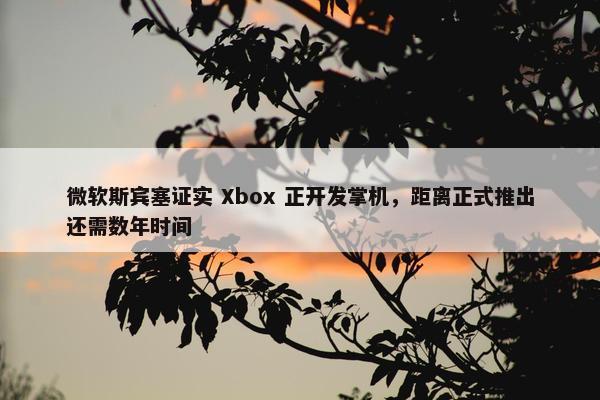 微软斯宾塞证实 Xbox 正开发掌机，距离正式推出还需数年时间