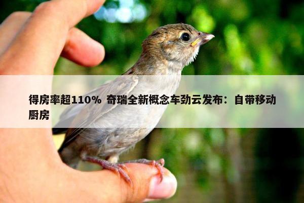 得房率超110% 奇瑞全新概念车劲云发布：自带移动厨房