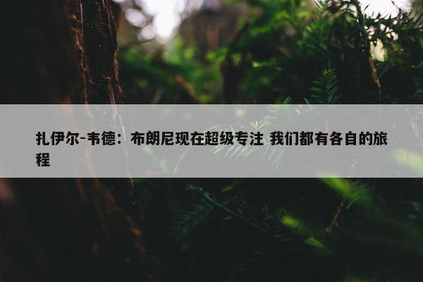 扎伊尔-韦德：布朗尼现在超级专注 我们都有各自的旅程