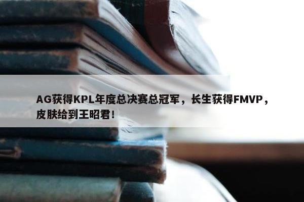 AG获得KPL年度总决赛总冠军，长生获得FMVP，皮肤给到王昭君！