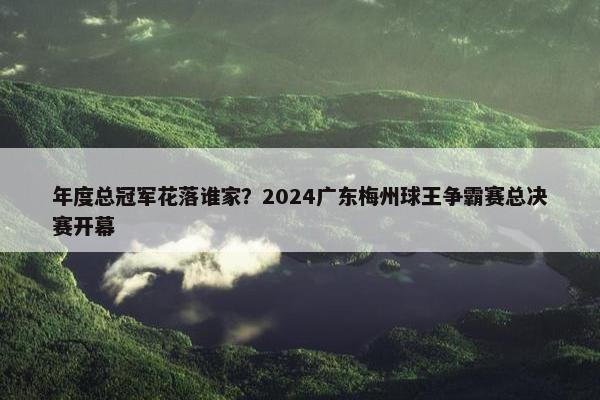 年度总冠军花落谁家？2024广东梅州球王争霸赛总决赛开幕