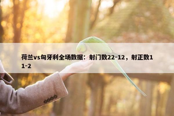 荷兰vs匈牙利全场数据：射门数22-12，射正数11-2