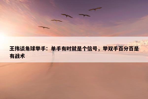 王伟谈角球举手：单手有时就是个信号，举双手百分百是有战术