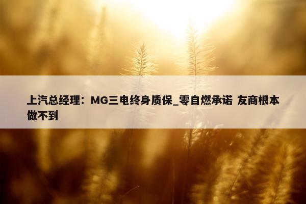 上汽总经理：MG三电终身质保_零自燃承诺 友商根本做不到