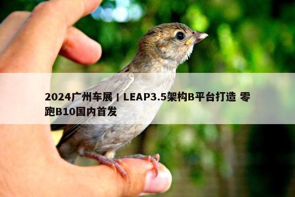 2024广州车展丨LEAP3.5架构B平台打造 零跑B10国内首发