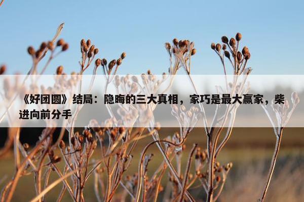 《好团圆》结局：隐晦的三大真相，家巧是最大赢家，柴进向前分手