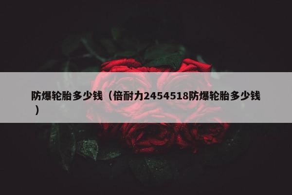 防爆轮胎多少钱（倍耐力2454518防爆轮胎多少钱 ）