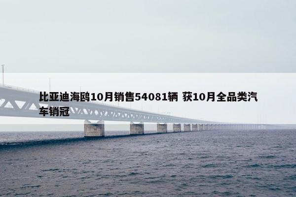 比亚迪海鸥10月销售54081辆 获10月全品类汽车销冠