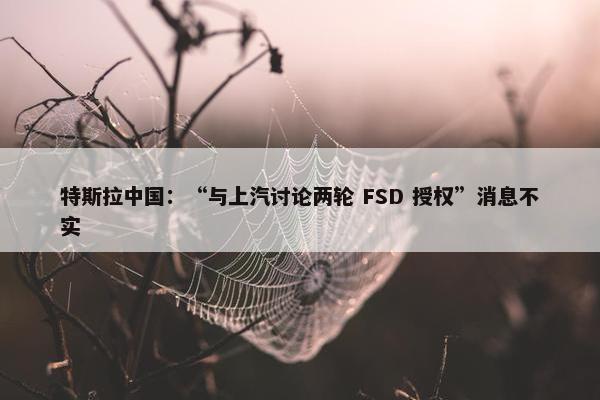 特斯拉中国：“与上汽讨论两轮 FSD 授权”消息不实