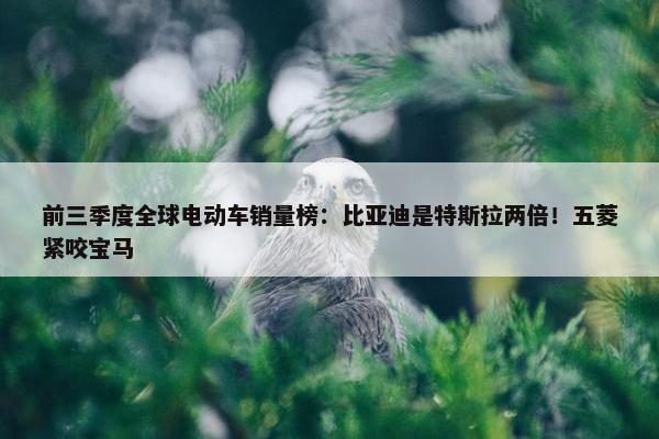 前三季度全球电动车销量榜：比亚迪是特斯拉两倍！五菱紧咬宝马