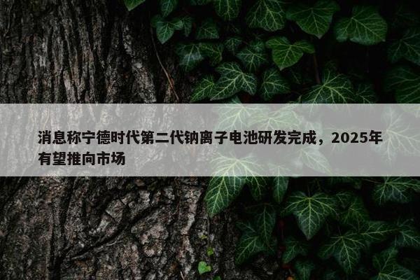 消息称宁德时代第二代钠离子电池研发完成，2025年有望推向市场