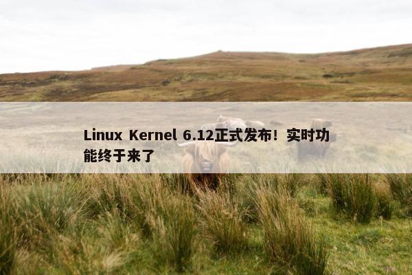 Linux Kernel 6.12正式发布！实时功能终于来了