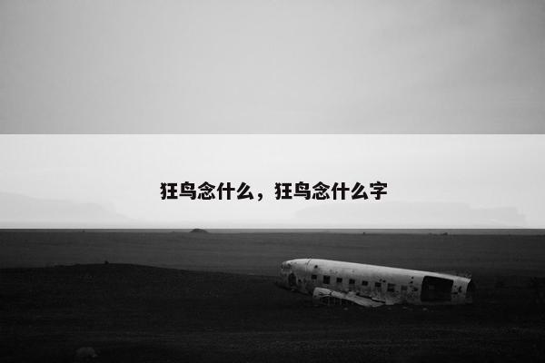 狂鸟念什么，狂鸟念什么字