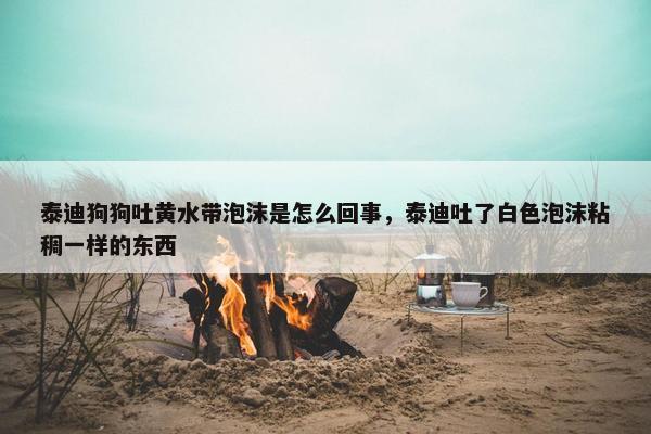 泰迪狗狗吐黄水带泡沫是怎么回事，泰迪吐了白色泡沫粘稠一样的东西