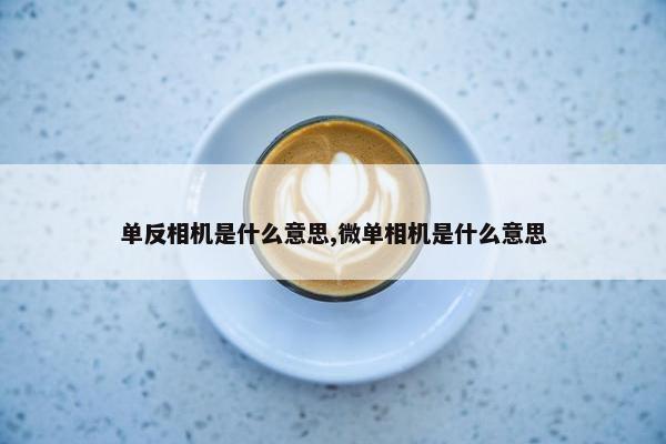 单反相机是什么意思,微单相机是什么意思