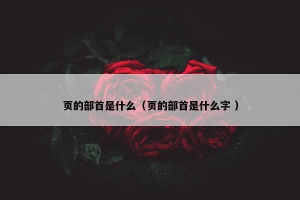 页的部首是什么（页的部首是什么字 ）