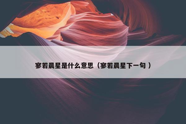 寥若晨星是什么意思（寥若晨星下一句 ）